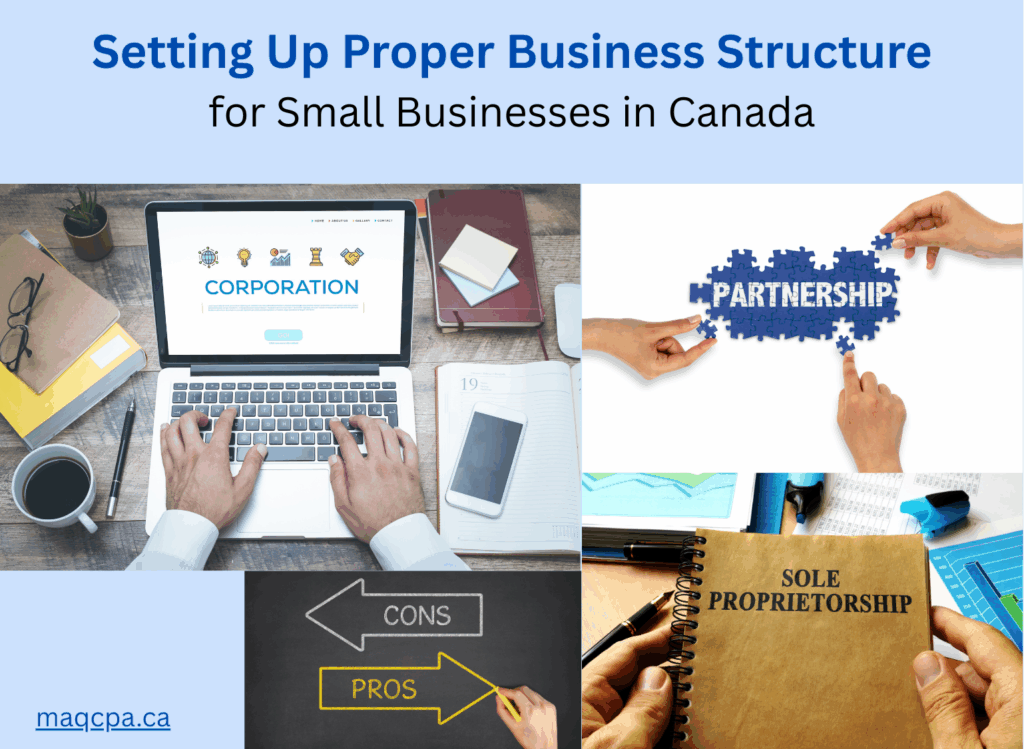 setting up proper business structure